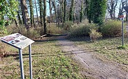 Mühlendammpark, Foto: Mandy Schmidt, Lizenz: Wirtschaftsfördergesellschaft Prignitz mbH