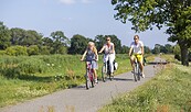 Familie auf Schwarze-Elster-Radweg, Foto: Andreas Franke, Lizenz: Andreas Franke