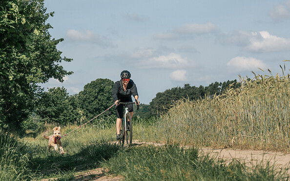 Urlaub mit Rad und Hund, Foto: C. Weisser, Lizenz: Landhaus Alte Schmiede