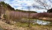 Miethsluch, Foto: Sandra Fonarob, Lizenz: Tourismusverband Dahme-Seenland e.V.