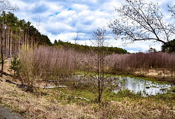Miethsluch, Foto: Sandra Fonarob, Lizenz: Tourismusverband Dahme-Seenland e.V.
