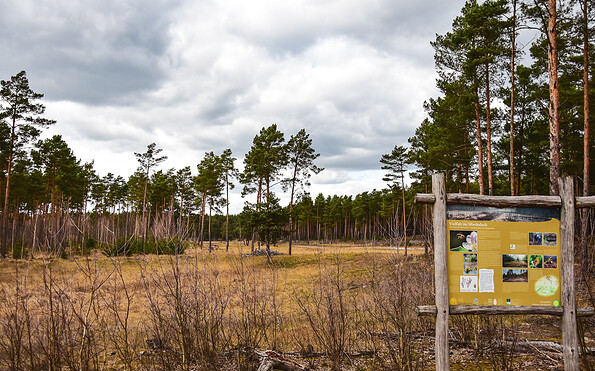 Information board, Foto: Sandra Fonarob, Lizenz: Tourismusverband Dahme-Seenland e.V.