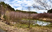 Miethsluch, Foto: Sandra Fonarob, Lizenz: Tourismusverband Dahme-Seenland e.V.