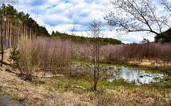 Miethsluch, Foto: Sandra Fonarob, Lizenz: Tourismusverband Dahme-Seenland e.V.