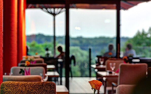 Wintergartenblick auf die Terrasse, Foto: ArtHotel Kiebitzberg