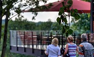 Blick auf die Terrasse, Foto: ArtHotel Kiebitzberg