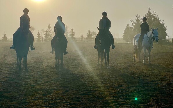 Reitunterricht, Foto: Annette Benzin, Lizenz: Annette Benzin