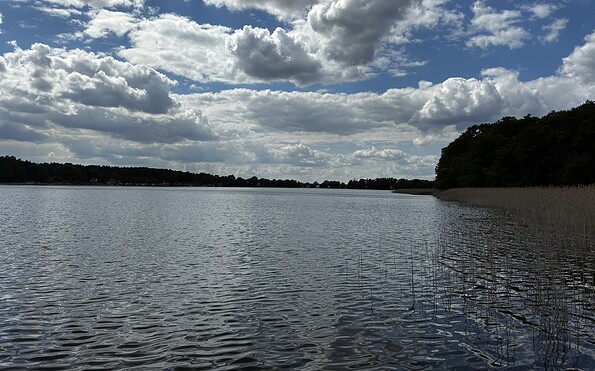 Wutzsee, Foto: Jörg Bartz, Lizenz: Brandenburgische Seenplatte GmbH
