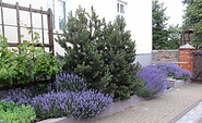 Vorgarten, Foto: Sommerfeldscher Hof, Foto: Sommerfeldscher Hof