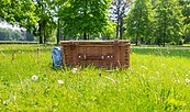 Picknickkorb Schlosspark Neuhardenberg, Foto: Seenlandentdecker, Lizenz: Seenland Oder-Spree