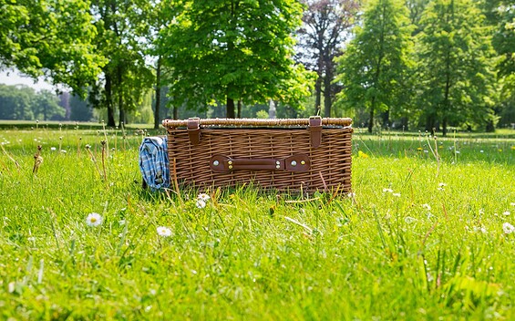 Picknickkorb Schlosspark Neuhardenberg, Foto: Seenlandentdecker, Lizenz: Seenland Oder-Spree