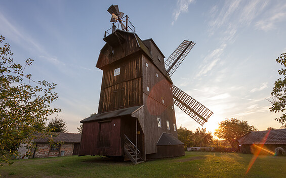 Windmühle in Petkus, Foto: Jedrzej Marzecki, Lizenz: Tourismusverband Fläming e.V.