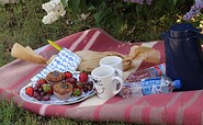 Picknick, Foto: Marie Kessler, Lizenz: Seenland Oder-Spree