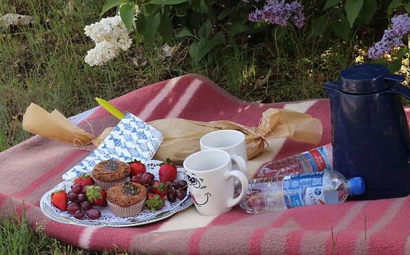 Picknick, Foto: Marie Kessler, Lizenz: Seenland Oder-Spree