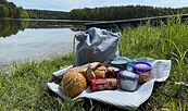 Picknicken am Schervenzsee, Foto: Constanze Mikeska, Lizenz: Tourismusverband Seenland Oder-Spree