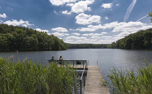 Hammersee, Foto: Steffen Lehman, Lizenz: TMB Fotoarchiv