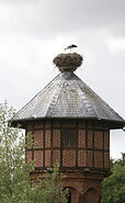 Storch im Nest, Foto: Michael Richter, Lizenz: Wirtschaftsfördergesellschaft Prignitz