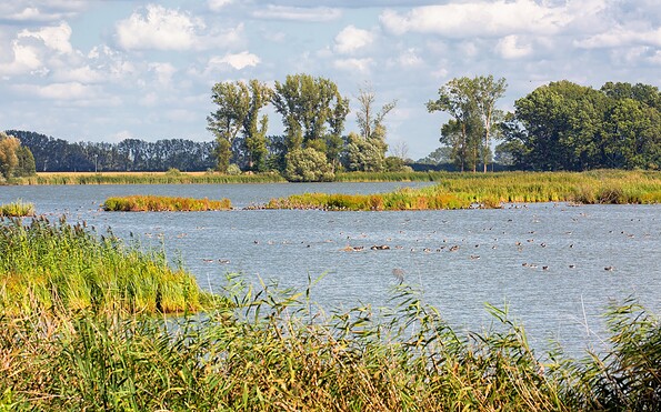 Altfriedländer Teiche Märkische Schweiz, Foto: Florian Läufer, Lizenz: Seenland Oder-Spree