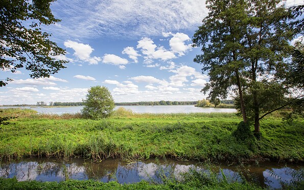 Altfriedländer Teiche Märkische Schweiz, Foto: Florian Läufer, Lizenz: Seenland Oder-Spree
