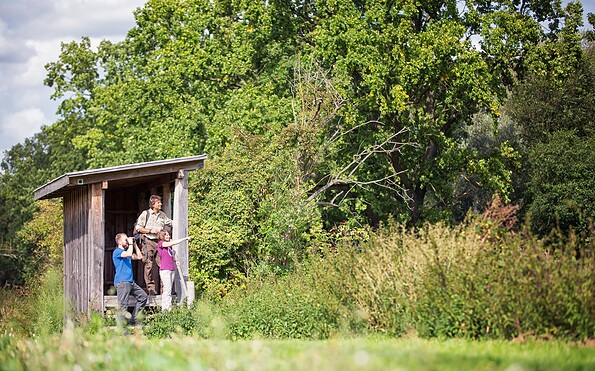 Aussichtsturm Altfriedländer Teiche Märkische Schweiz, Foto: Florian Läufer, Lizenz: Seenland Oder-Spree
