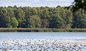 Altfriedländer Teiche Märkische Schweiz, Foto: Florian Läufer, Lizenz: Seenland Oder-Spree