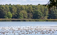 Altfriedländer Teiche Märkische Schweiz, Foto: Florian Läufer, Lizenz: Seenland Oder-Spree