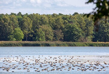 Altfriedländer Teiche Märkische Schweiz, Foto: Florian Läufer, Lizenz: Seenland Oder-Spree