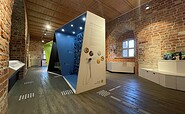 barrierefreie Dauerausstellung „VERWURZELT – Bodenepisoden zwischen Ursprung und Zukunft“, Foto: Jenny Jürgens