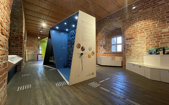 barrierefreie Dauerausstellung „VERWURZELT – Bodenepisoden zwischen Ursprung und Zukunft“, Foto: Jenny Jürgens