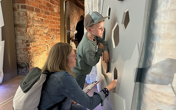 barrierefreie Dauerausstellung „VERWURZELT – Bodenepisoden zwischen Ursprung und Zukunft“, Foto: Jenny Jürgens
