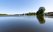 Großer Müllroser , Foto: Steffen Lehmann, Lizenz: TMB-Fotoarchiv