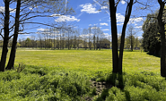 Nyks Spreewald Wiese, Foto: Florian Krause, Lizenz: Nyks Spreewald Wiese