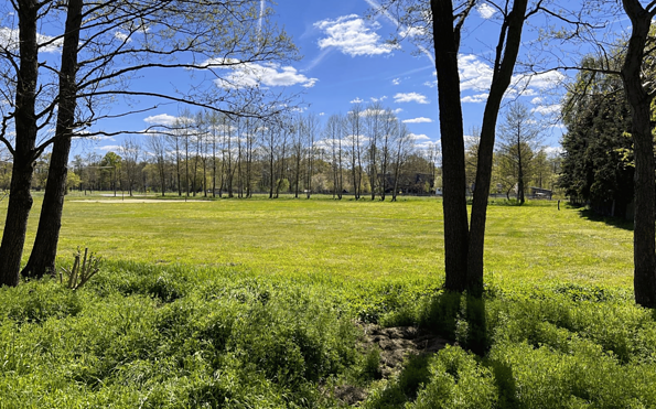 Nyks Spreewald Wiese, Foto: Florian Krause, Lizenz: Nyks Spreewald Wiese