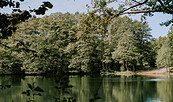 Wildwood Camping Uckermark, Foto: Lisa Bastick, Lizenz: Wildwood Camping GmbH