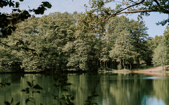 Wildwood Camping Uckermark, Foto: Lisa Bastick, Lizenz: Wildwood Camping GmbH