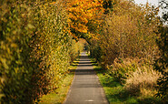 Radweg in Ribbeck, Foto: Steven Ritzer, Lizenz: Tourismusverband Havelland e.V.
