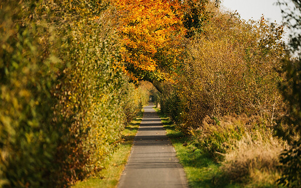 Radweg in Ribbeck, Foto: Steven Ritzer, Lizenz: Tourismusverband Havelland e.V.