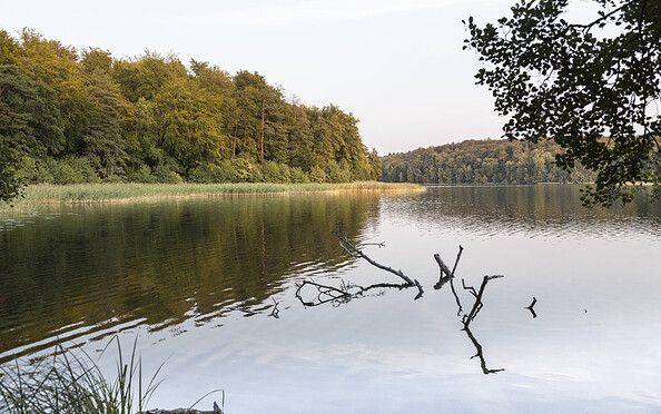 View across Rainbow Lake, Foto: Steffen Lehmann, Lizenz: TMB Tourismus-Marketing Brandenburg GmbH