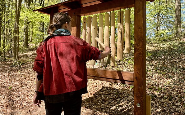 Foto: Schutzgemeinschaft Deutscher Wald Landesverband Brandenburg e. V.