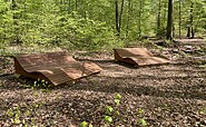 Foto: Schutzgemeinschaft Deutscher Wald Landesverband Brandenburg e. V.