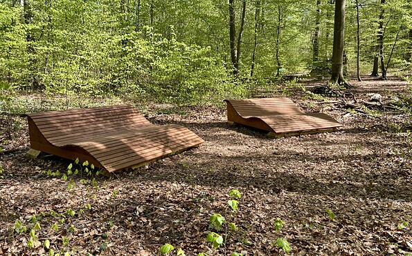 Foto: Schutzgemeinschaft Deutscher Wald Landesverband Brandenburg e. V.