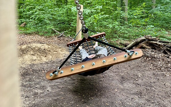 Foto: Schutzgemeinschaft Deutscher Wald Landesverband Brandenburg e. V.