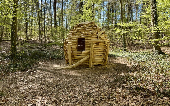 Foto: Schutzgemeinschaft Deutscher Wald Landesverband Brandenburg e. V.