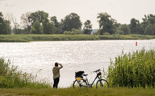 blick auf die Oder, Foto: Florian Läufer, Lizenz: Seenland Oder-Spree