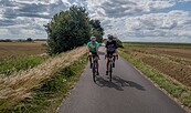 Rennrad fahren auf der Tour Brandenburg, Foto: Christoph Creutzburg, Lizenz: Seenland Oder-Spree