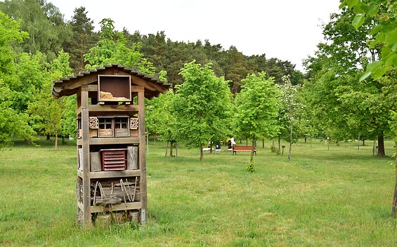 Generations Forest with an insect hotel, Foto: Sandra Fonarob, Lizenz: Tourismusverband Dahme-Seenland e.V.