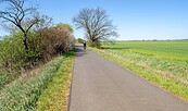 Oderbruchbahn Radweg, Foto: Seenlandentdecker, Lizenz: Seenland Oder-Spree