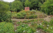 Blumenbeete für Insekten im Lehmann-Garten Templin, Foto: Merith Sommer