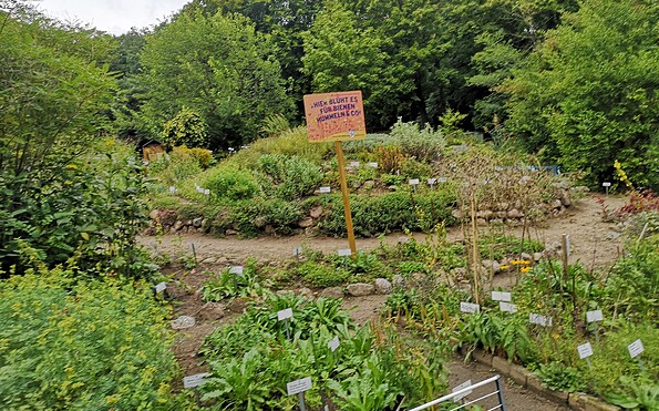 Blumenbeete für Insekten im Lehmann-Garten Templin, Foto: Merith Sommer