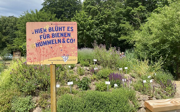 Beete Lehmann-Garten Templin, Foto: Alena Lampe